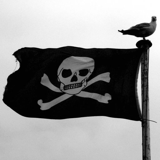 Aargh, we're pirates!